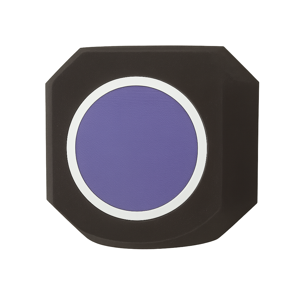 small studio microphone sound shield pop filter noise reduction for recording