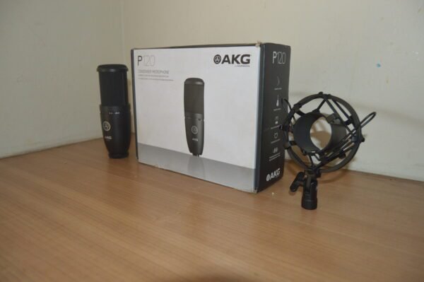 akg p120 condenser microphonedsc 0428